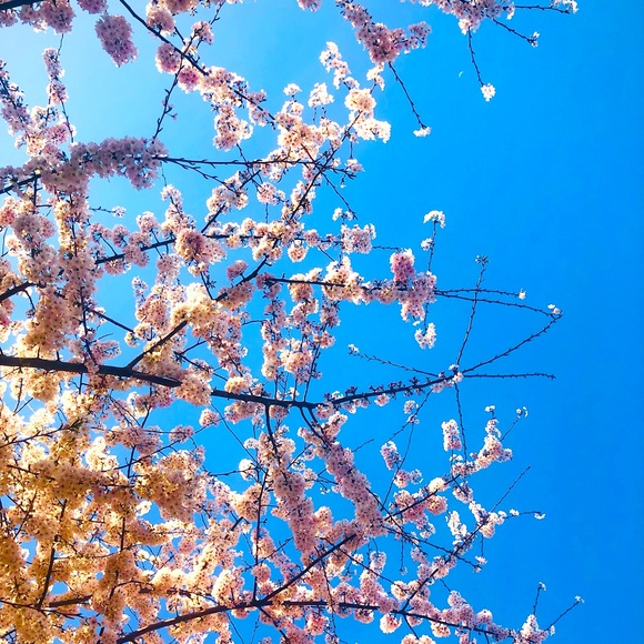 Meet your Posher, Kait - Picture 1 of 1